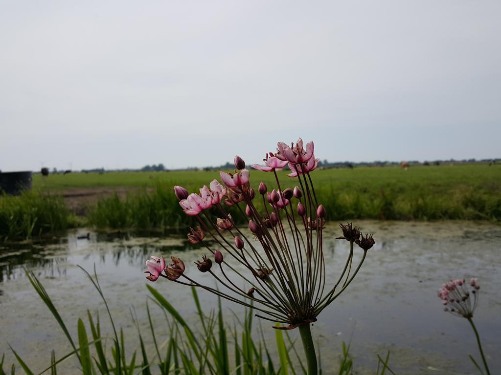 Bed and Breakfast Bed & Breakfast De Koegang Zuidermeer Экстерьер фото