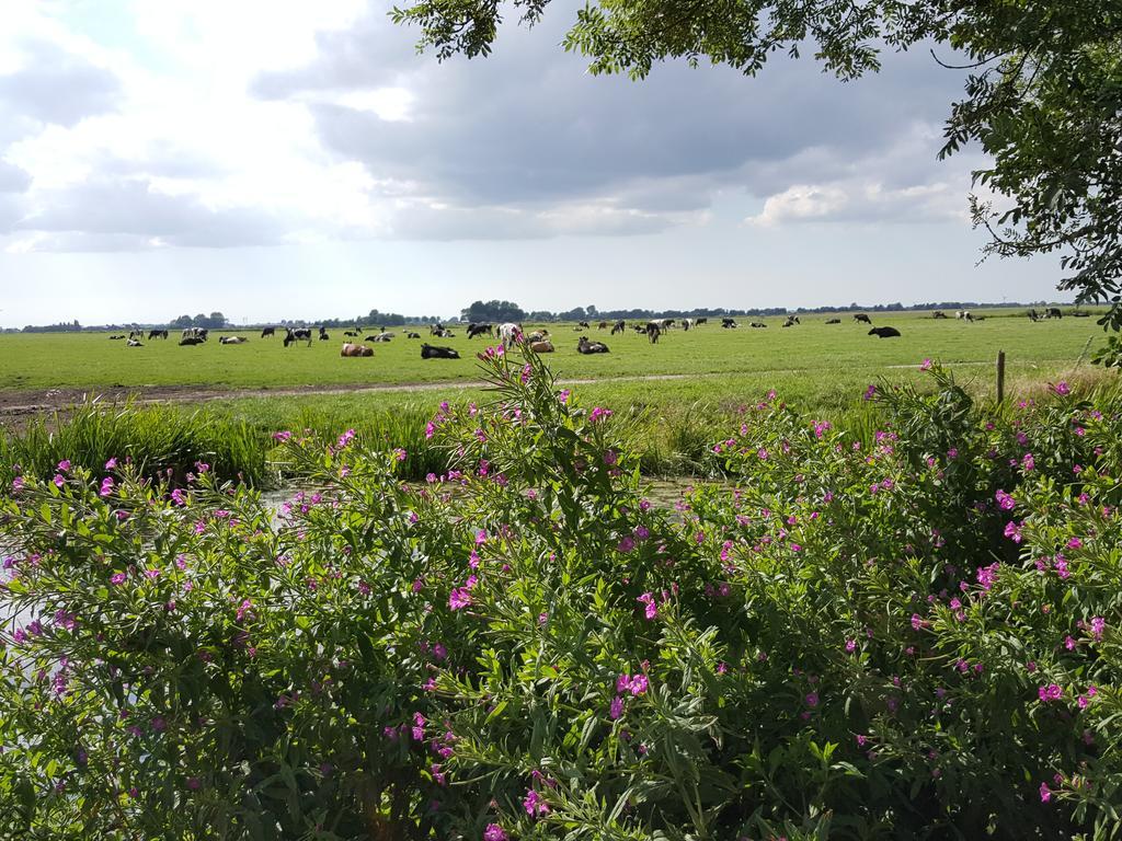 Bed and Breakfast Bed & Breakfast De Koegang Zuidermeer Экстерьер фото